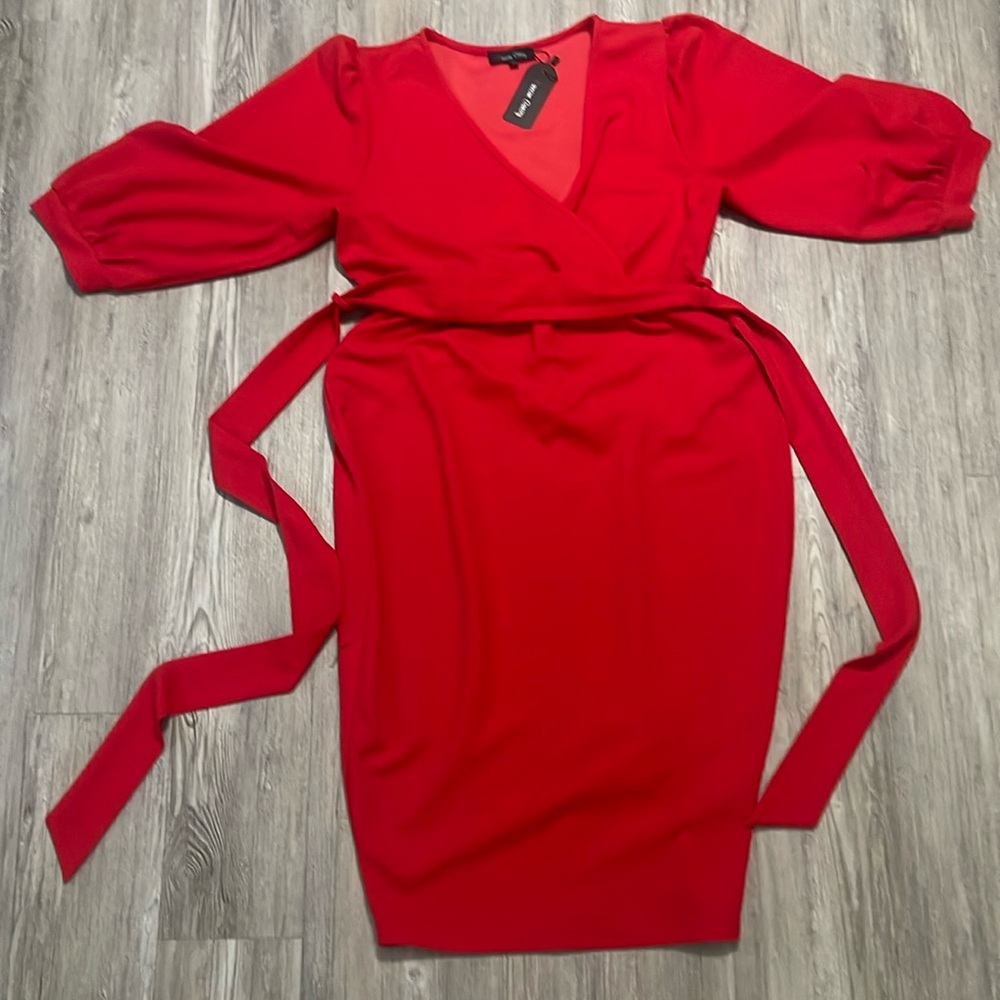 Buxom Curvy Dress Size 1X